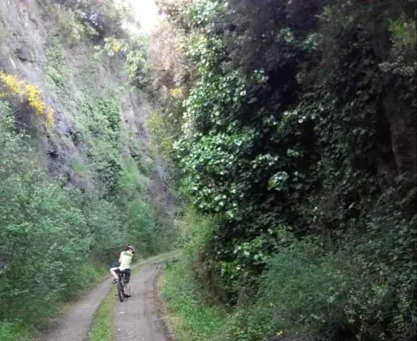 فيلا Casa Padre Manuel Do Couto فيلا بوكا دي أغويار المظهر الخارجي الصورة