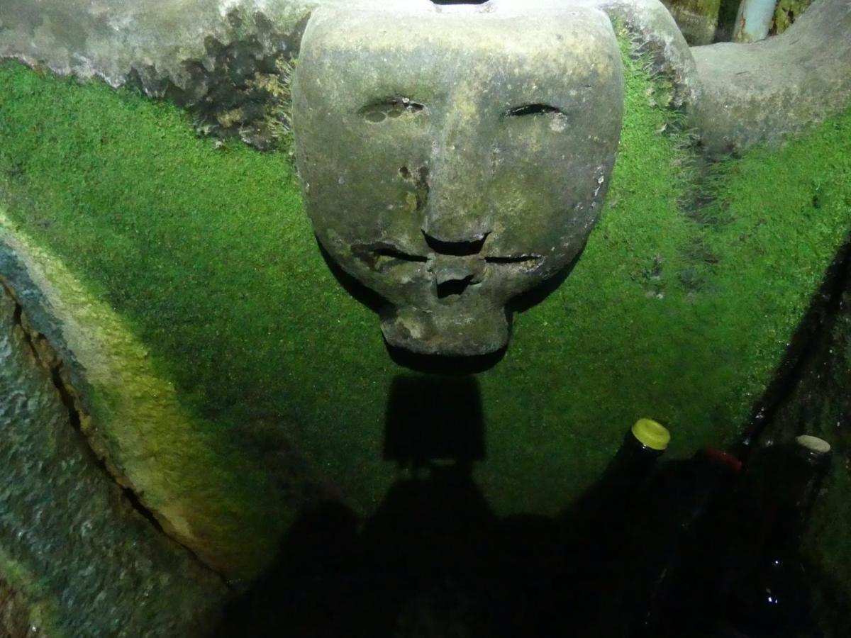 فيلا Casa Padre Manuel Do Couto فيلا بوكا دي أغويار المظهر الخارجي الصورة